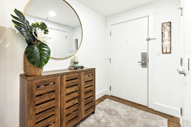 entrance foyer with hardwood / wood-style flooring