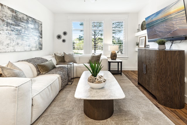 living room featuring wood-type flooring