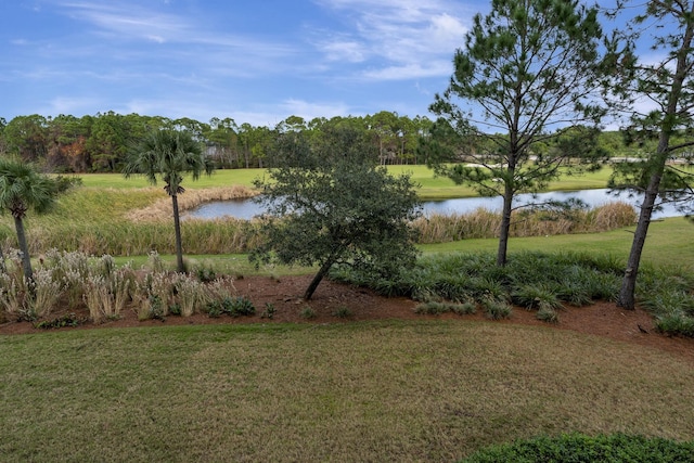 view of water feature