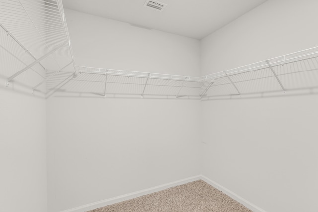 walk in closet featuring carpet