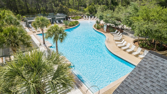 view of pool featuring a patio