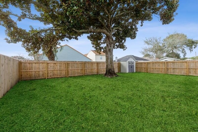 view of yard with a storage shed