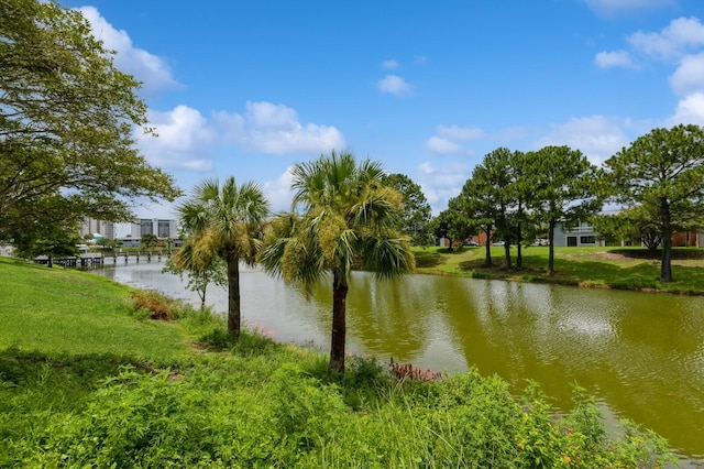 view of water feature