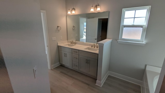 bathroom featuring hardwood / wood-style flooring and vanity