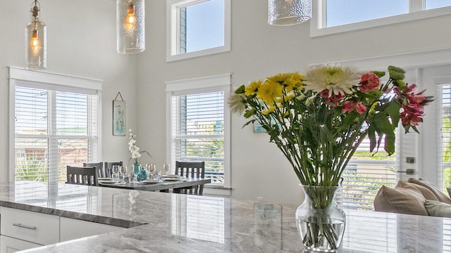 dining room with a towering ceiling and a wealth of natural light