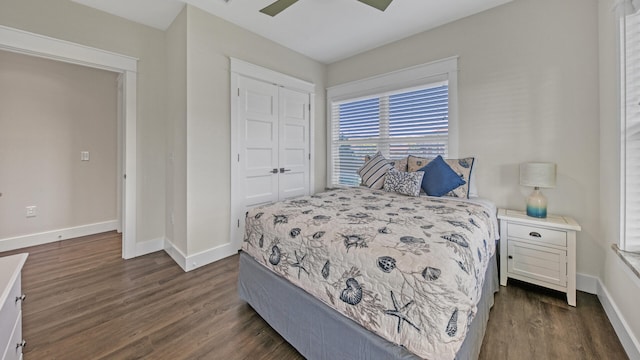 bedroom featuring dark hardwood / wood-style flooring, a closet, and ceiling fan