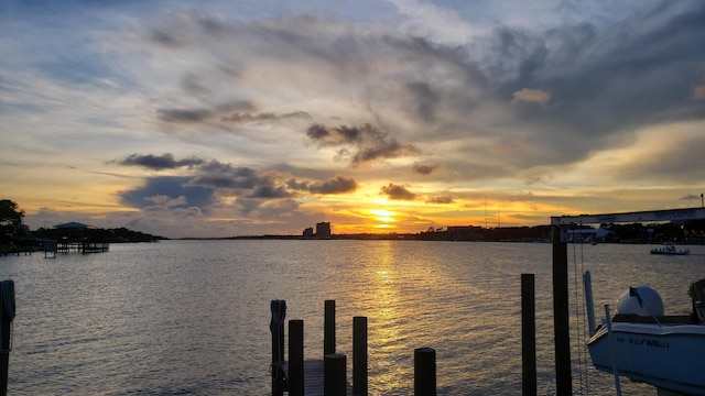 dock area with a water view