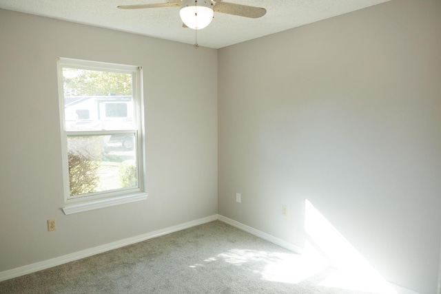 spare room with plenty of natural light, carpet, and a textured ceiling