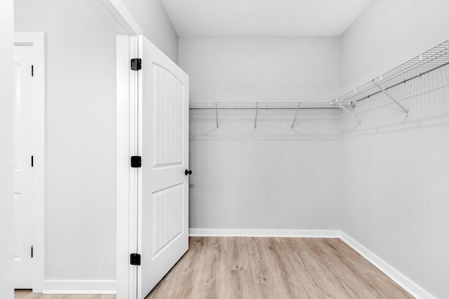 spacious closet featuring light hardwood / wood-style floors