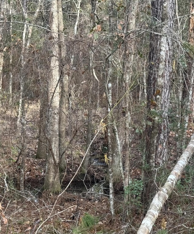 view of landscape featuring a wooded view