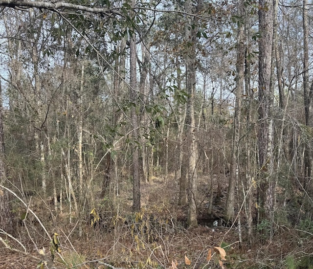 view of local wilderness with a wooded view