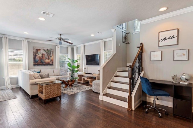 living room with plenty of natural light, ornamental molding, dark hardwood / wood-style floors, and ceiling fan