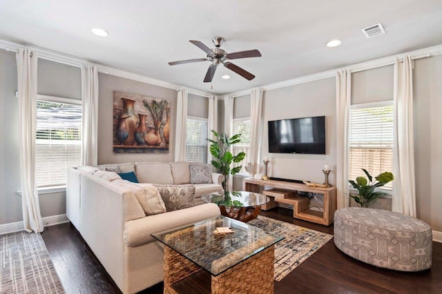 living room featuring ornamental molding, plenty of natural light, dark hardwood / wood-style floors, and ceiling fan