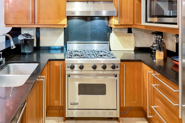 kitchen with sink, ventilation hood, dark stone counters, stainless steel appliances, and decorative backsplash