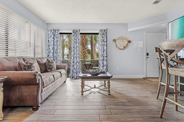 living room featuring light hardwood / wood-style floors