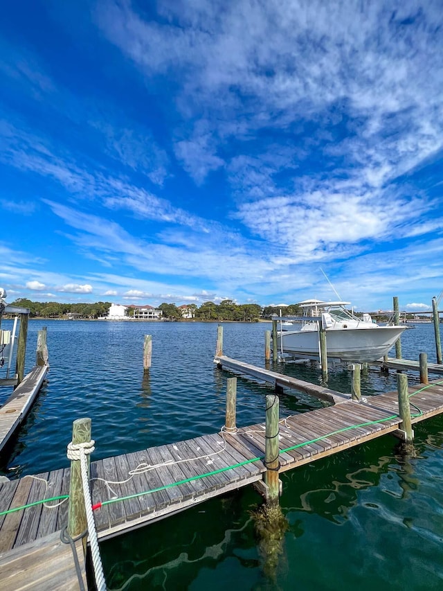 dock area with a water view