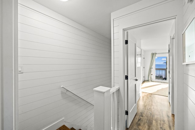 hall with dark wood-type flooring and wood walls