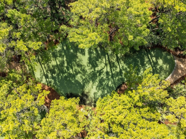 birds eye view of property featuring a view of trees