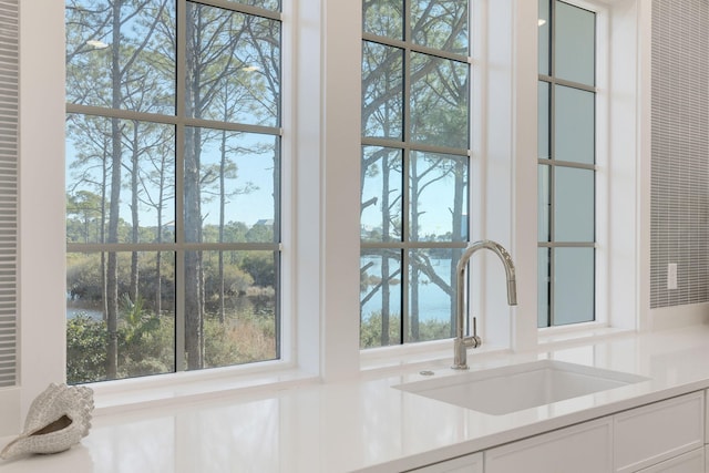 details with a water view and sink