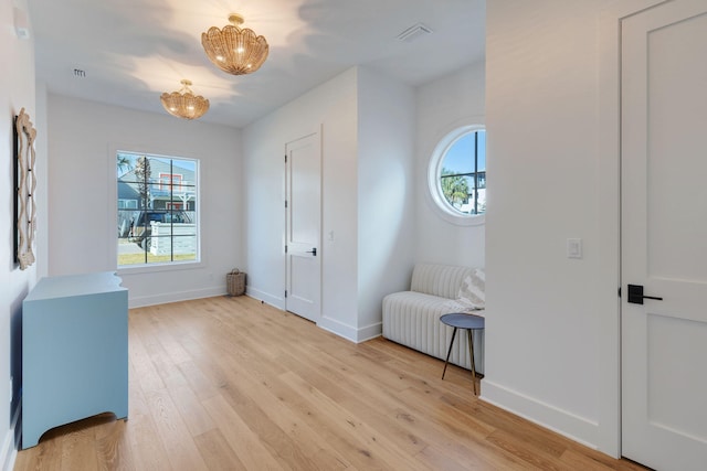 entryway with a wealth of natural light and light hardwood / wood-style flooring