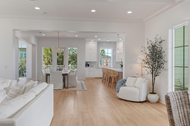 living room featuring crown molding and light hardwood / wood-style flooring