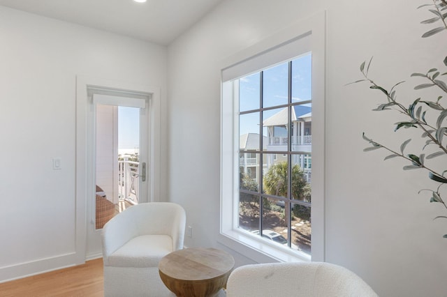 living area with light hardwood / wood-style floors and a wealth of natural light