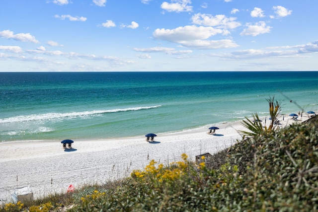 water view featuring a beach view