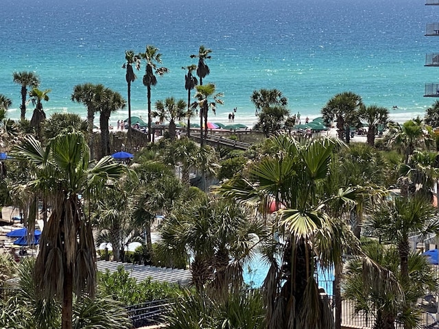 view of water feature featuring a view of the beach