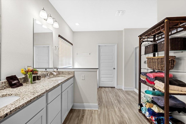 bathroom with wood-type flooring and vanity