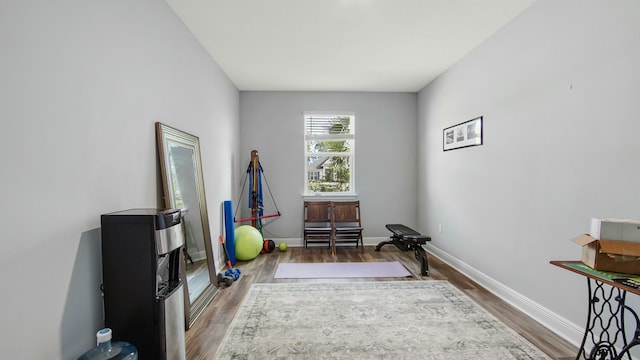 workout room featuring wood-type flooring