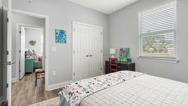 bedroom featuring a closet and hardwood / wood-style floors