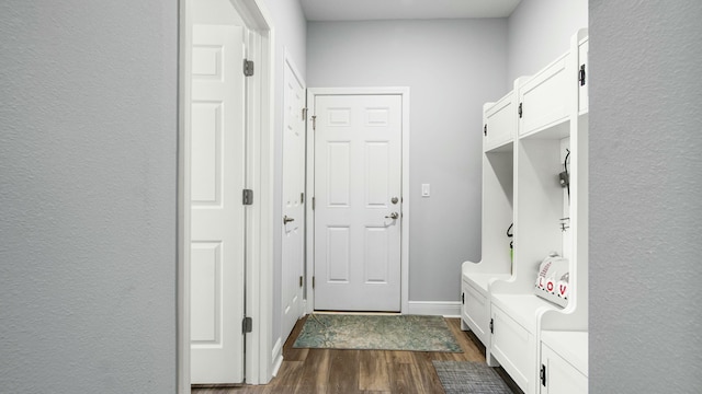 mudroom with dark hardwood / wood-style flooring