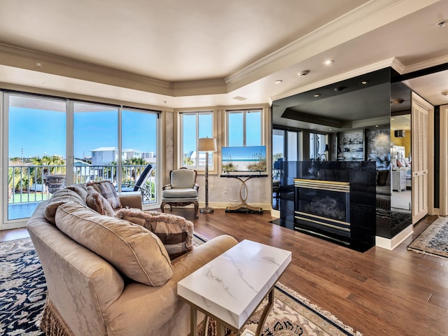 living room with a raised ceiling, wood-type flooring, and crown molding