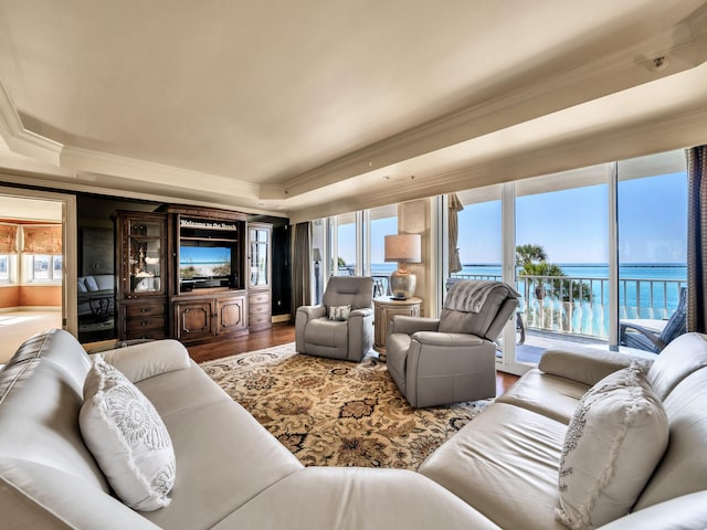 living room with crown molding, hardwood / wood-style floors, and a tray ceiling