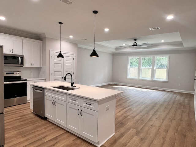 kitchen featuring a tray ceiling, light wood-style flooring, appliances with stainless steel finishes, white cabinetry, and a sink