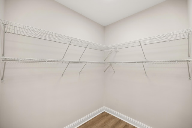 spacious closet featuring wood finished floors