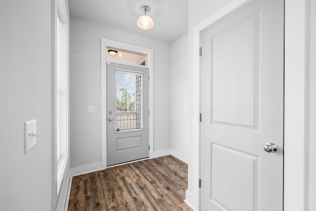 doorway to outside with dark wood-type flooring