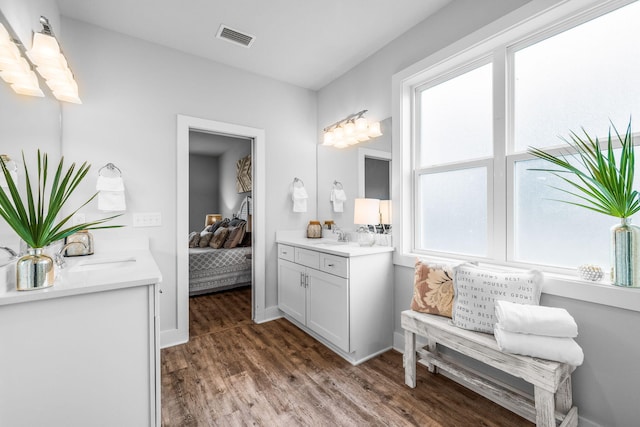 bathroom featuring vanity, wood-type flooring, and a wealth of natural light