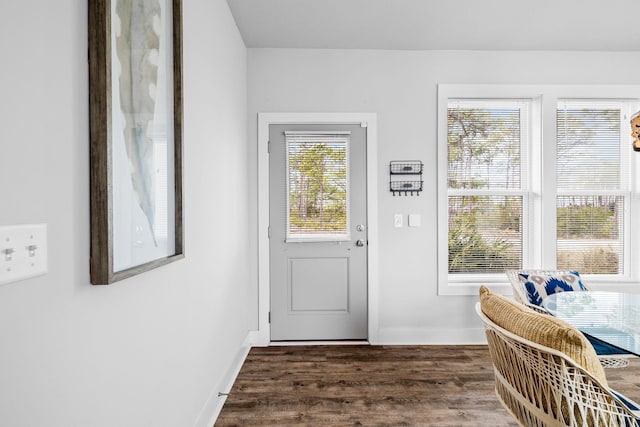 doorway to outside with dark wood-type flooring