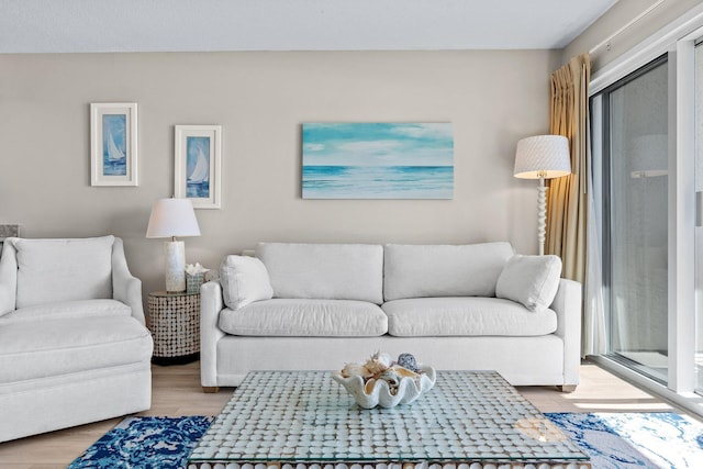 living room with plenty of natural light and light hardwood / wood-style floors