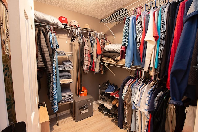 spacious closet featuring wood-type flooring