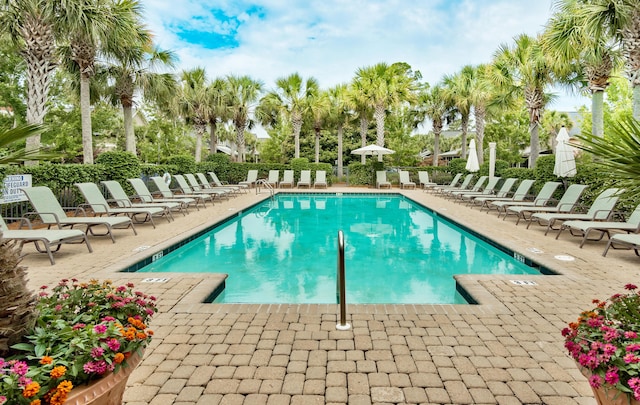 view of swimming pool with a patio