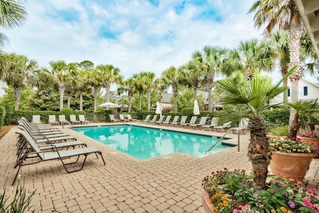 view of pool featuring a patio