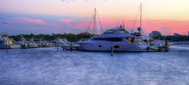 dock area featuring a water view