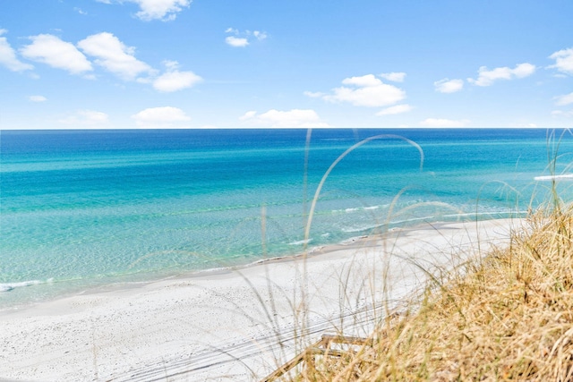 view of water feature with a beach view