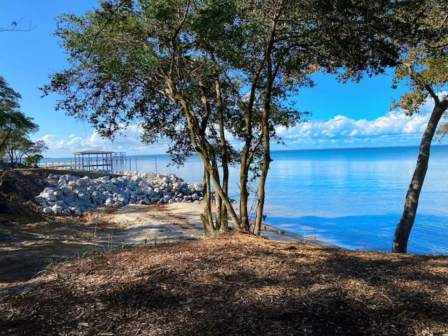 property view of water