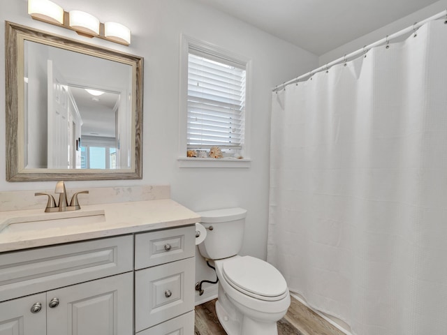 bathroom featuring vanity, wood-type flooring, and toilet