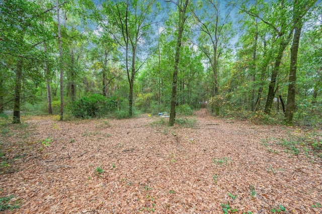 view of local wilderness