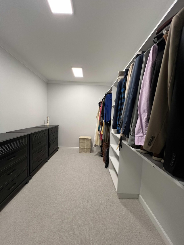 spacious closet featuring light colored carpet