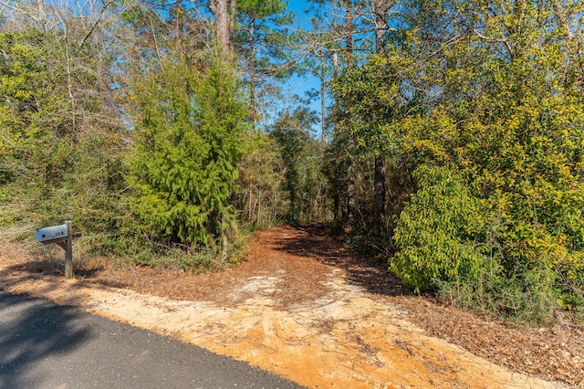 view of road